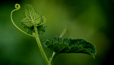 麥景龍-體驗聲臨其境